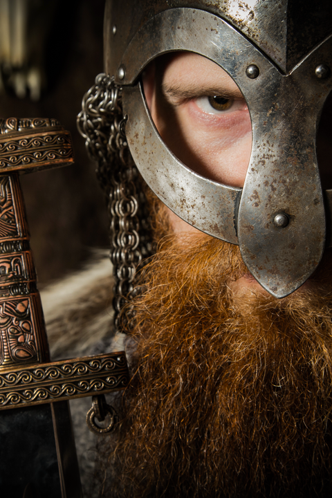 The Viking Adventure in Rollo's Footsteps