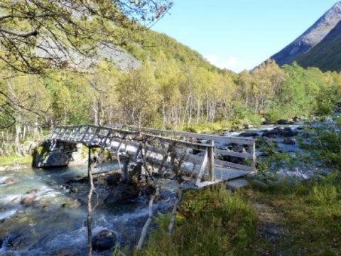 Storfjorden Adventure: Fjords, Farms, and Falls