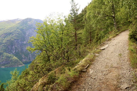 Storfjorden Adventure: Fjords, Farms, and Falls