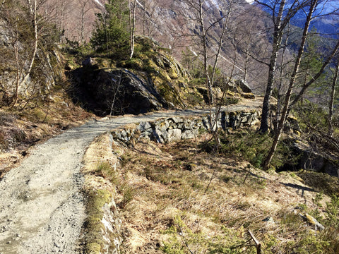 Storfjorden Adventure: Fjords, Farms, and Falls