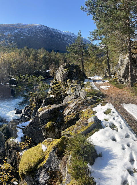 Grand fjord tour with fruit farm visit and waterfall stroll