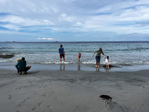 Ålesund to Molnes - Scenic Sea Route