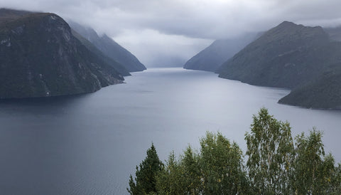 Grand fjord tour with fruit farm visit and waterfall stroll