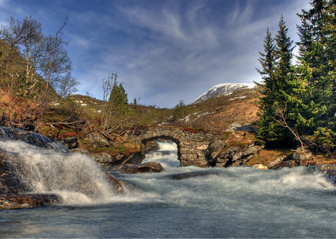 Grand fjord tour with fruit farm visit and waterfall stroll