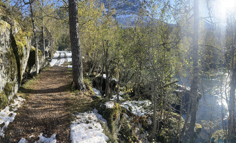 Grand fjord tour with fruit farm visit and waterfall stroll