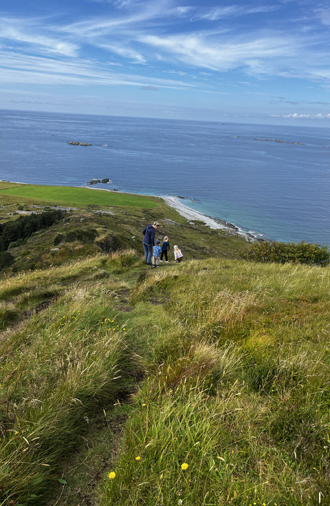 Ålesund to Molnes - Mountain and Sea Route