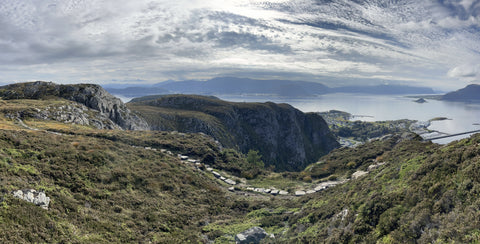 Ålesund to Signalen - Short mountain hike